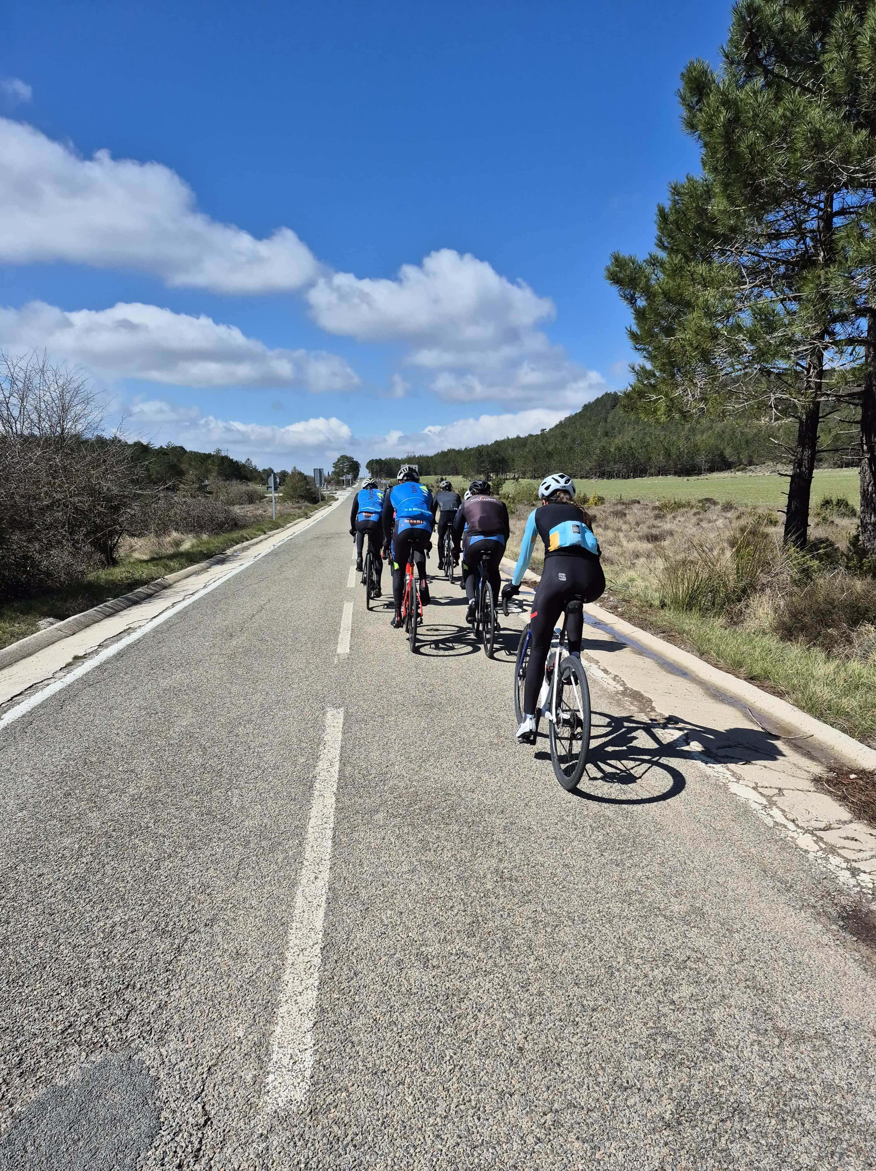 Grupo de ciclistas rodando por una carretera rural en un día soleado, rodeados de campos y árboles bajo un cielo azul con nubes.